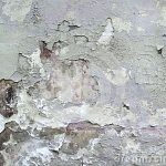 <h1>External wall seepage</h1>